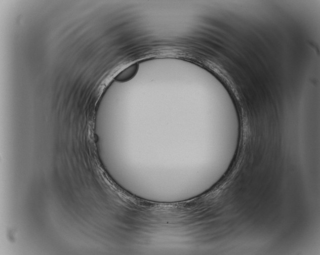 X0000103961481200809191323