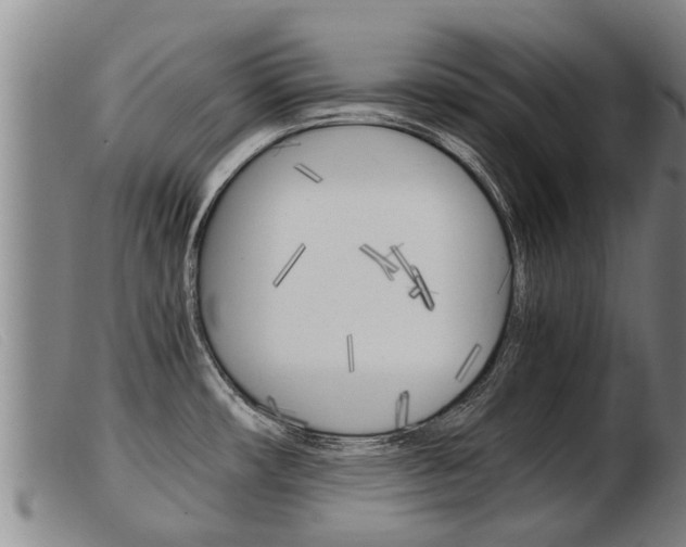 X0000103961482200809191323