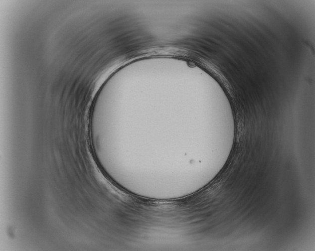 X0000103961483200809191323