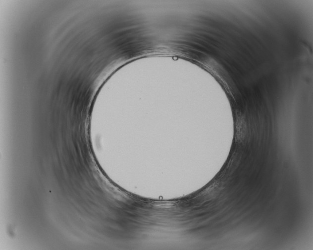 X0000103961484200809191323