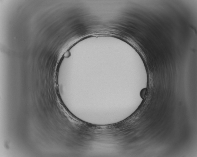 X0000103961485200809191323