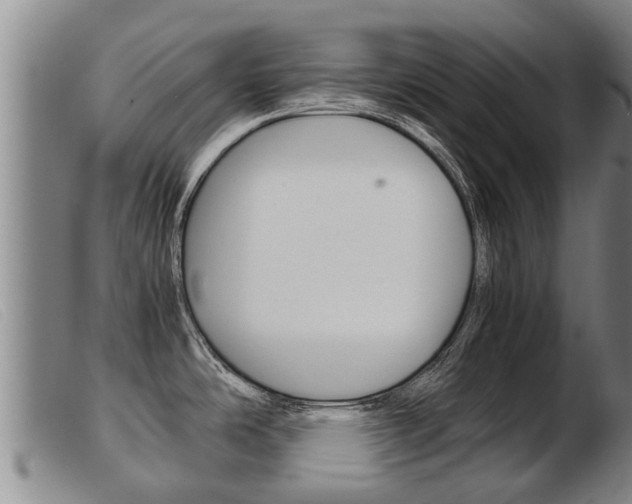 X0000103961486200809191323