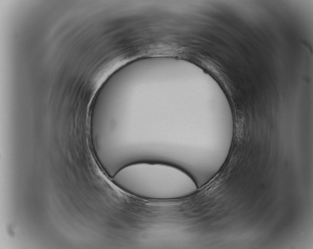X0000103961487200809191323