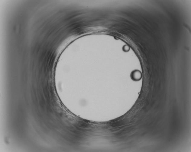 X0000103961488200809191323