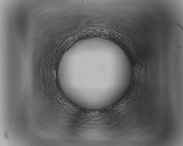 X0000103961489200809191322