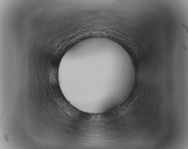 X0000103961490200809191322