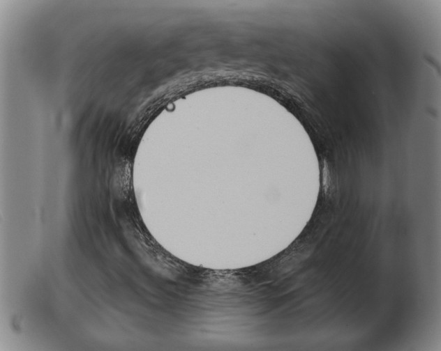 X0000103961492200809191322