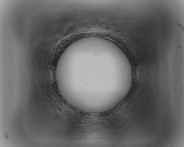 X0000103961493200809191322