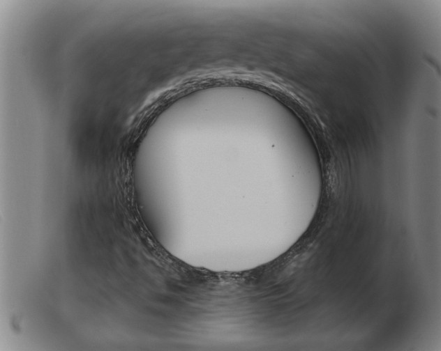 X0000103961494200809191322