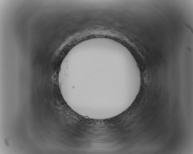 X0000103961495200809191322