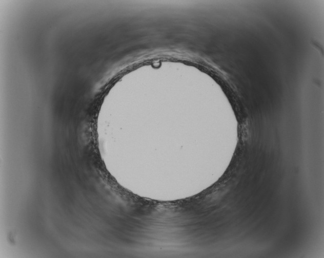 X0000103961496200809191322