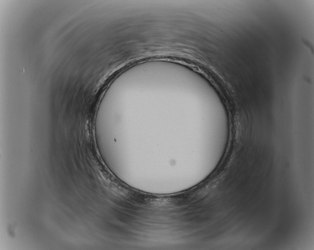 X0000103961497200809191322