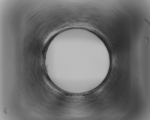 X0000103961498200809191322