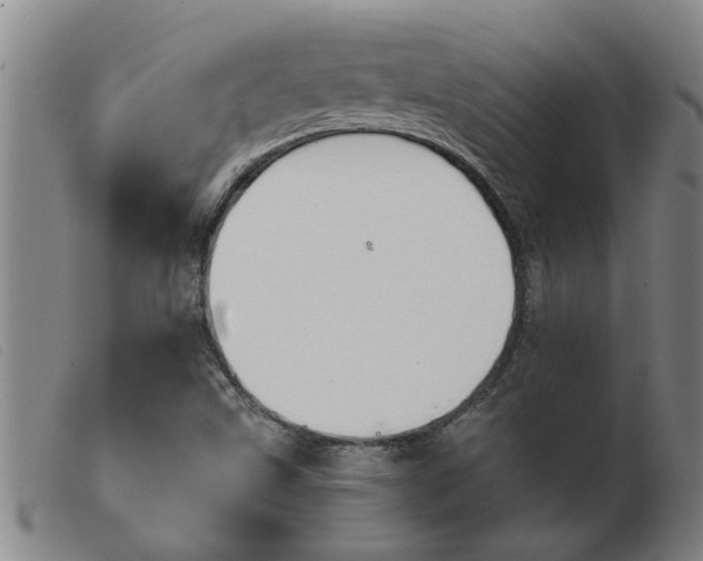 X0000103961499200809191322