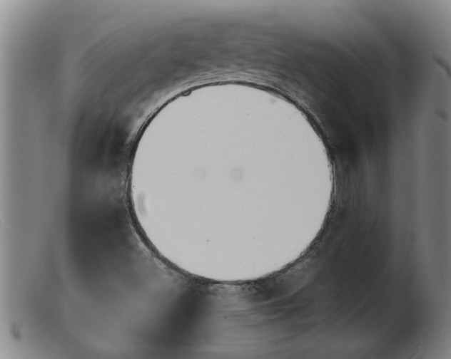X0000103961500200809191322