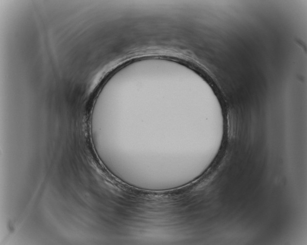 X0000103961501200809191322