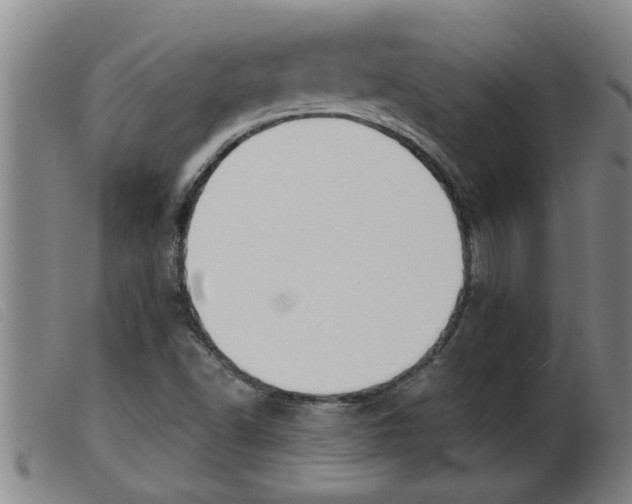 X0000103961502200809191322