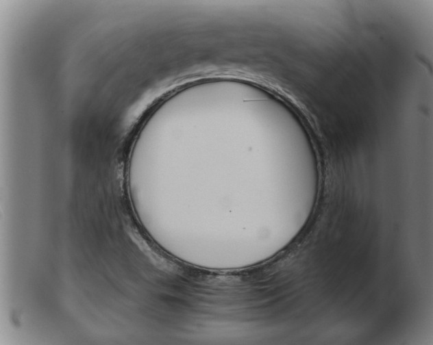 X0000103961503200809191322