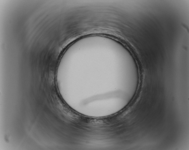X0000103961505200809191322