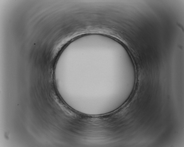 X0000103961507200809191322