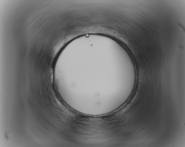 X0000103961509200809191322