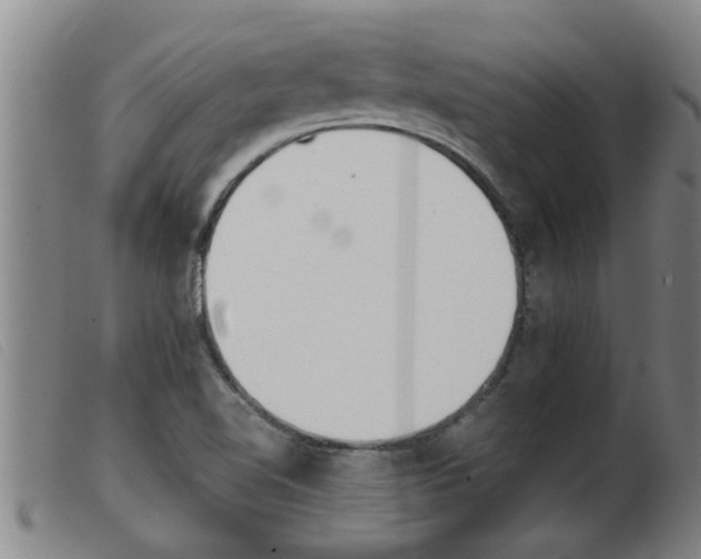 X0000103961510200809191323