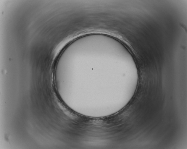 X0000103961511200809191323