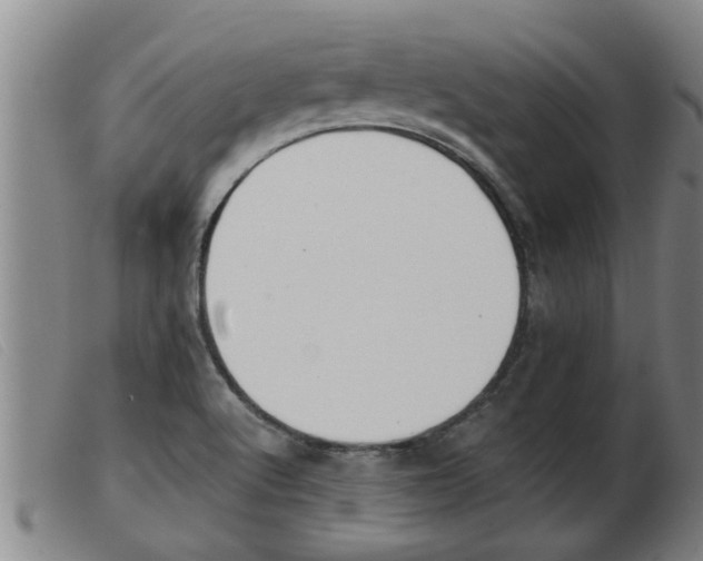 X0000103961512200809191323