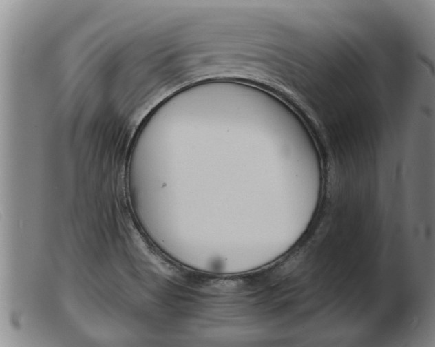 X0000103961513200809191323