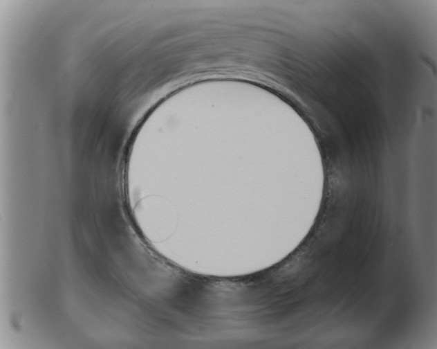 X0000103961514200809191323