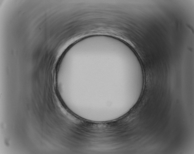 X0000103961515200809191323