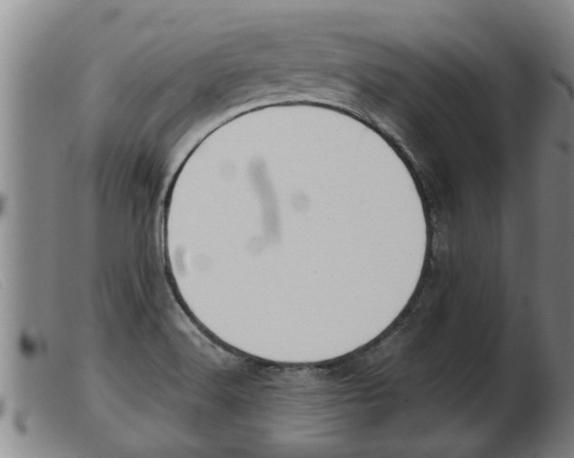 X0000103961516200809191323