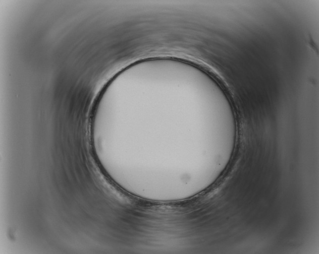 X0000103961517200809191323