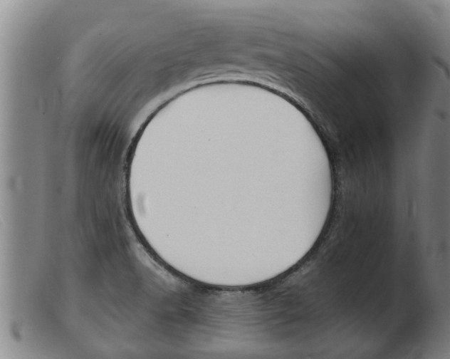 X0000103961518200809191323