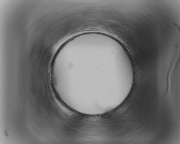 X0000103961519200809191323