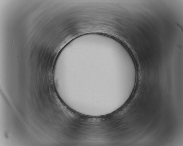 X0000103961521200809191323