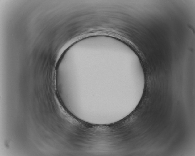 X0000103961522200809191323