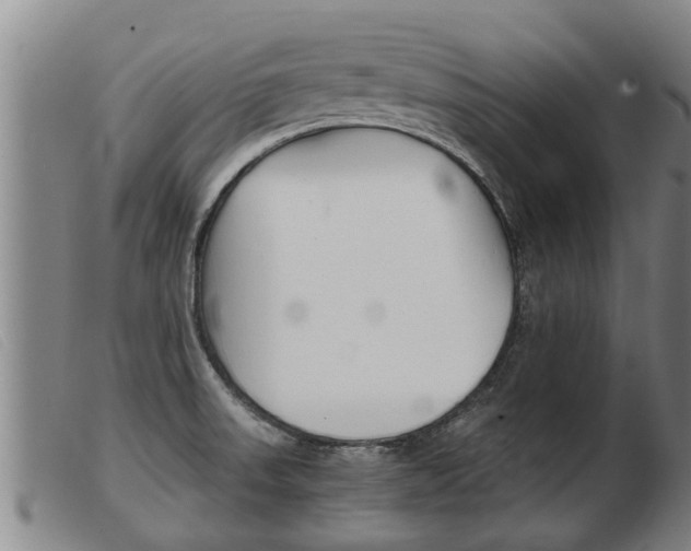 X0000103961523200809191323