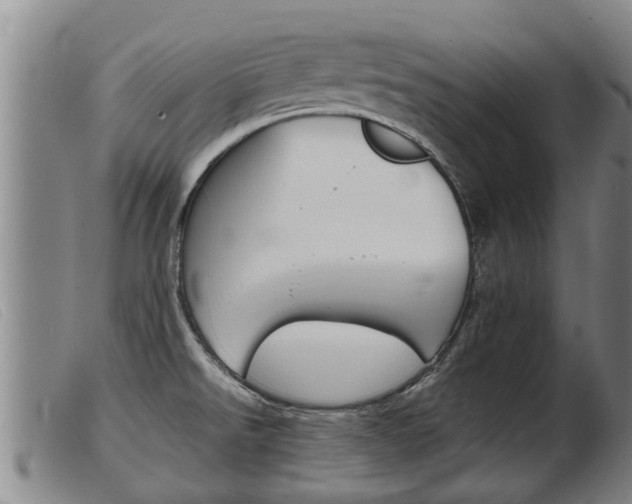 X0000103961526200809191323