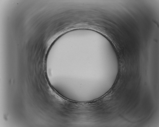 X0000103961527200809191323