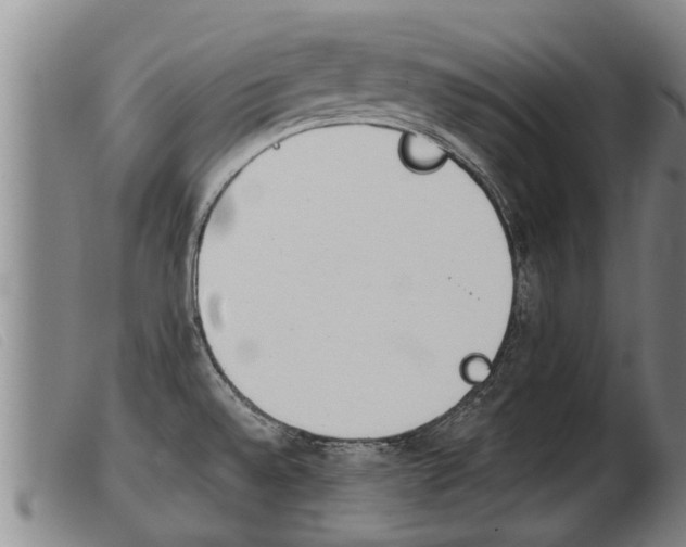 X0000103961528200809191323