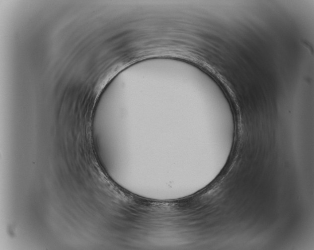 X0000103961529200809191323