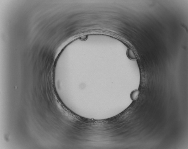 X0000103961530200809191323