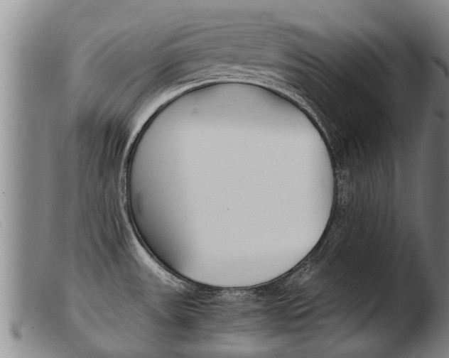 X0000103961531200809191323