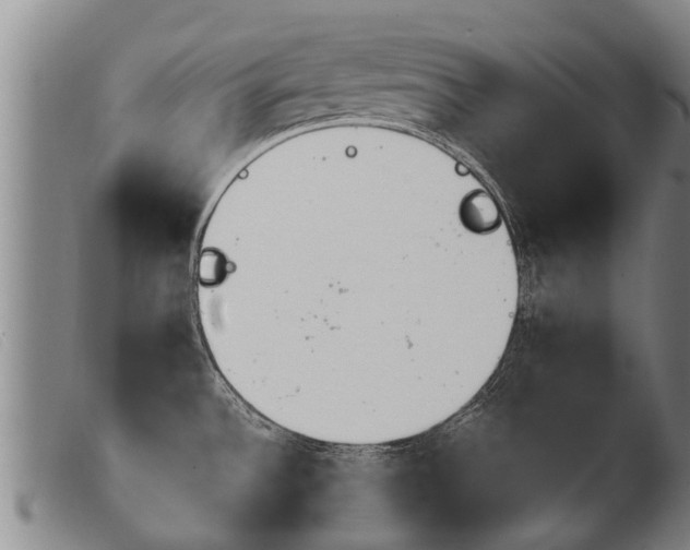 X0000103961532200809191323