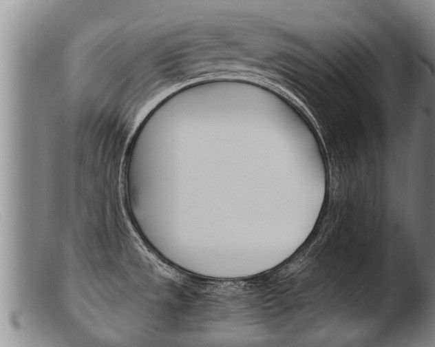 X0000103961533200809191323