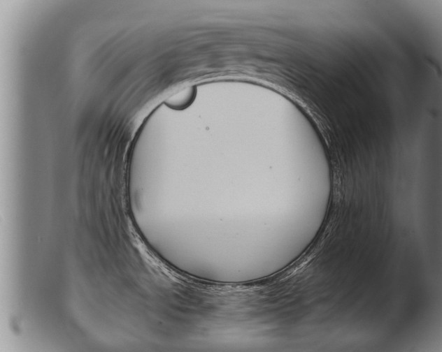 X0000103961534200809191323