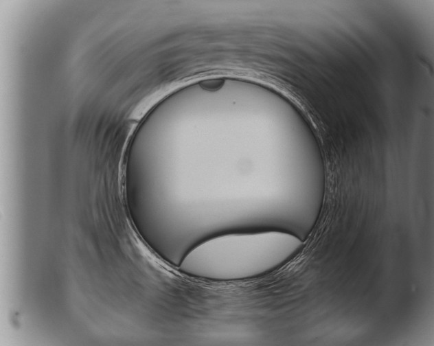 X0000103961535200809191323