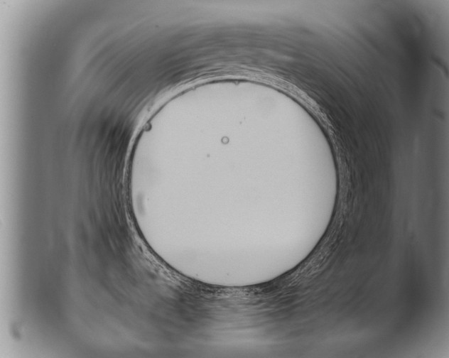 X0000103961536200809191323