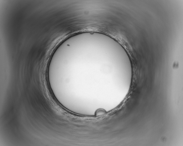 X0000103960001200809191522